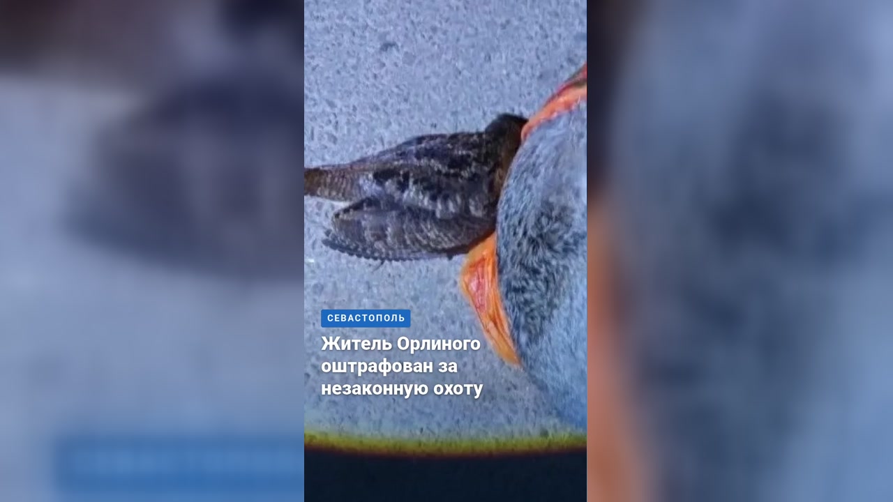 Житель Орлиного оштрафован за незаконную охоту