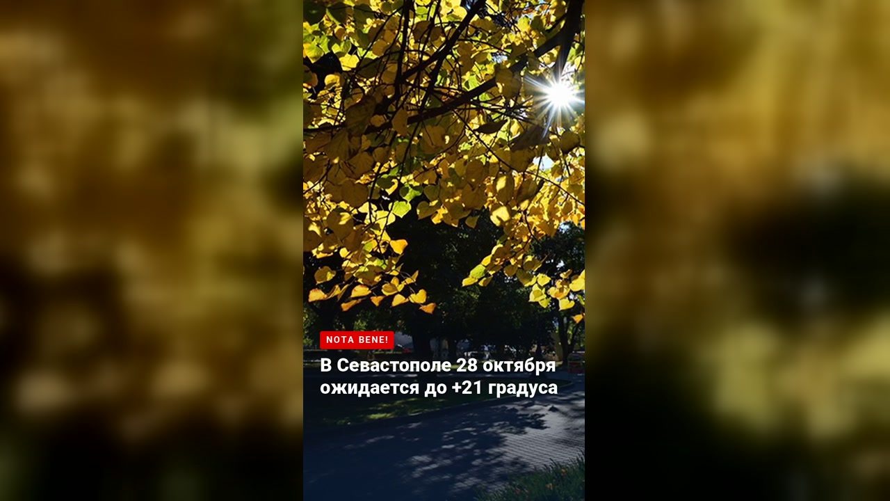 В Севастополе 28 октября ожидается до +21 градуса