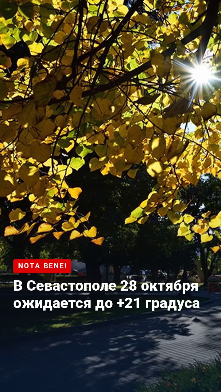 В Севастополе 28 октября ожидается до +21 градуса
