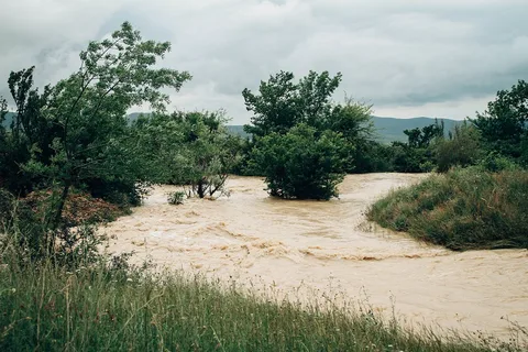 Фото галереи