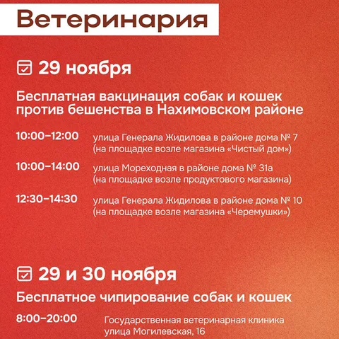 Фото галереи
