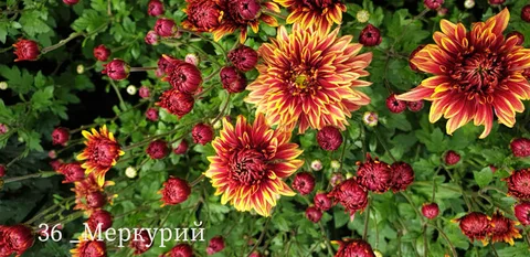 Фото галереи