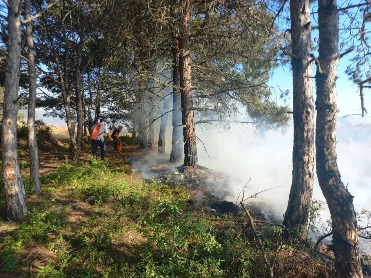 В Севастополе сотрудники ГИБДД помогли остановить лесной пожар у жилых домов