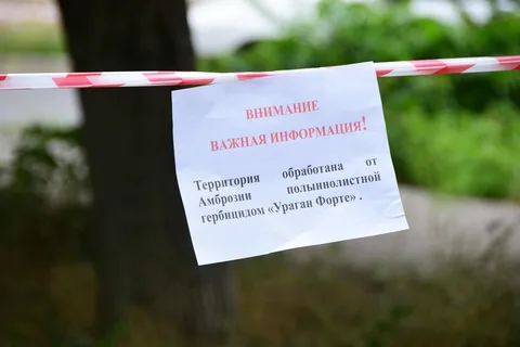 Фото галереи