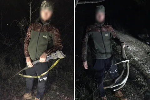 Фото галереи