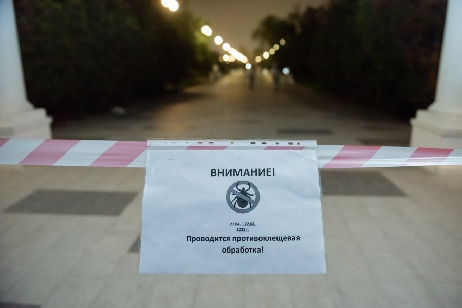 Почти две тысячи случаев укусов клещей зарегистрировано в Крыму и Севастополе с начала года 