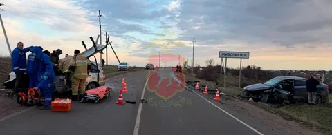 Фото галереи