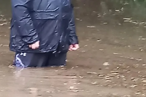Фото галереи