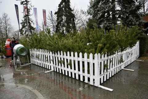 Фото галереи