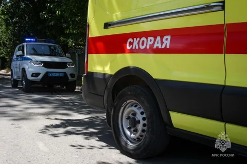 Фото галереи