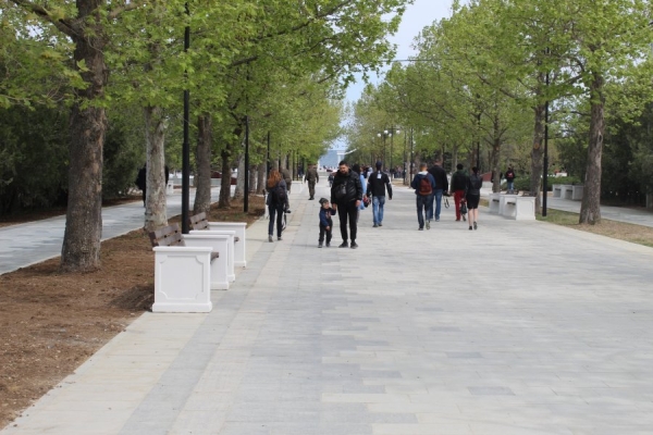 Сегодня ночью два парка Севастополя обработают от клещей