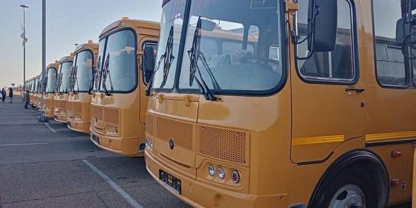 Эксперт заявила о целесообразности заправки российских автобусов водородом