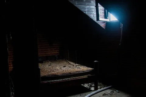 Фото галереи