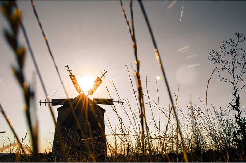 Сегодня — Астафий Ветряк