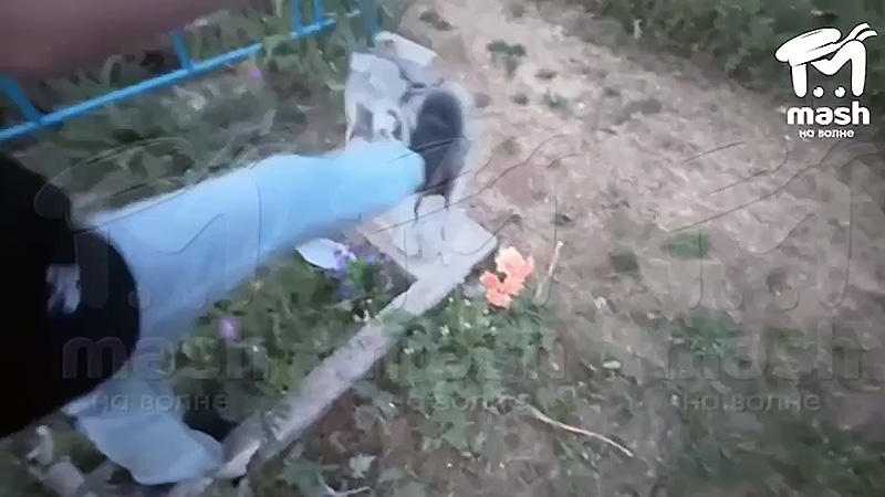 В Джанкойском районе девочка-подросток разгромила надгробие