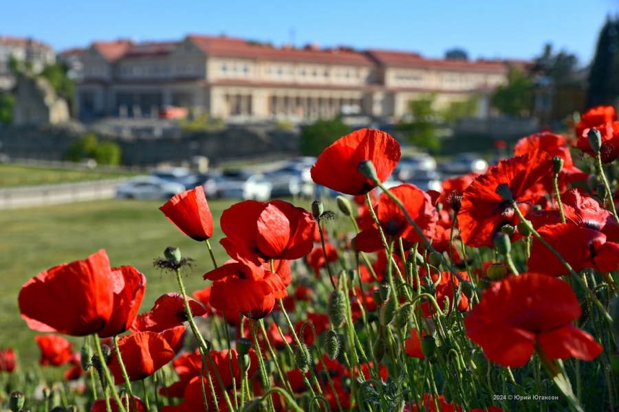 В Крыму будет тепло, но ветрено (прогноз погоды на 23 мая)