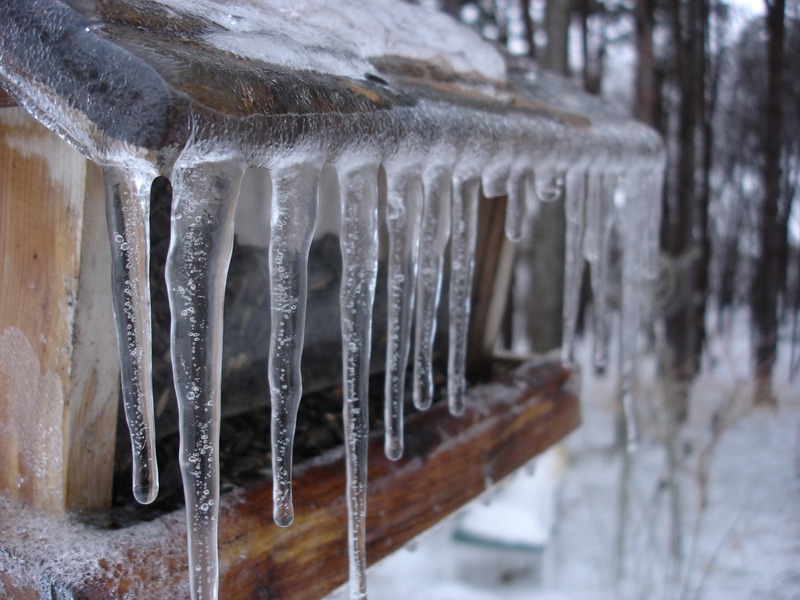 Сегодня – Мартинианов день