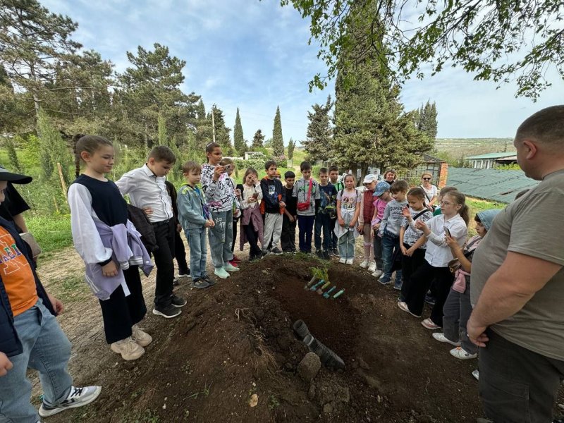 Для школьников Севастополя провели экскурсию по лесному питомнику (фото)