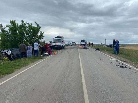 Фото галереи