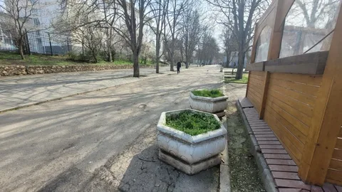 Фото галереи