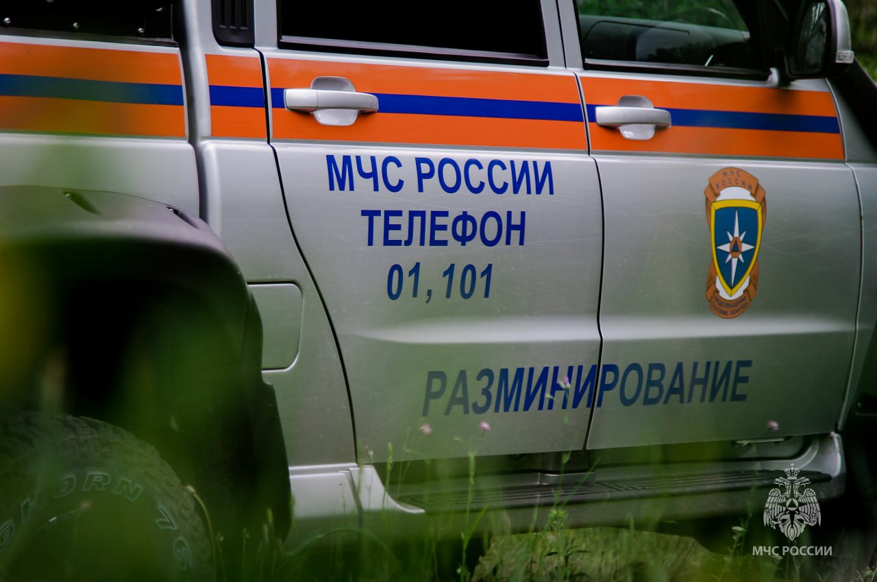 Саперы приступили к обследованию пляжа Учкуевка в Севастополе