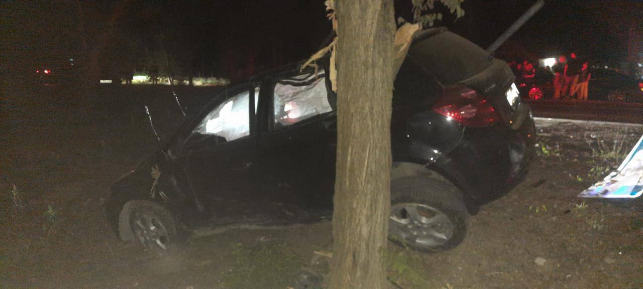 В Крыму водитель иномарки погиб от столкновения с деревом (фото)