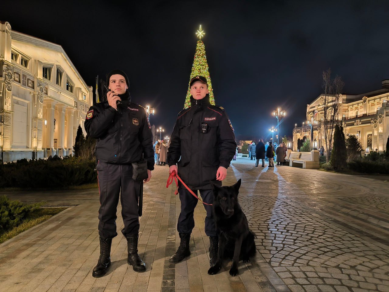 340 сотрудников полиции охраняли порядок в новогоднюю ночь в Севастополе (ФОТО)