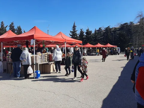 Фото галереи
