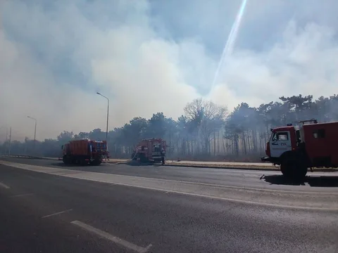 Фото галереи