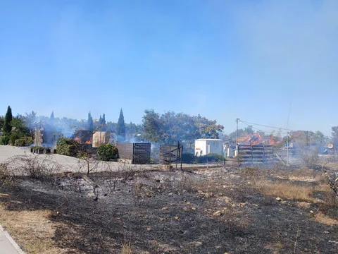 Фото галереи