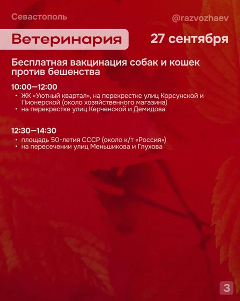 Фото галереи