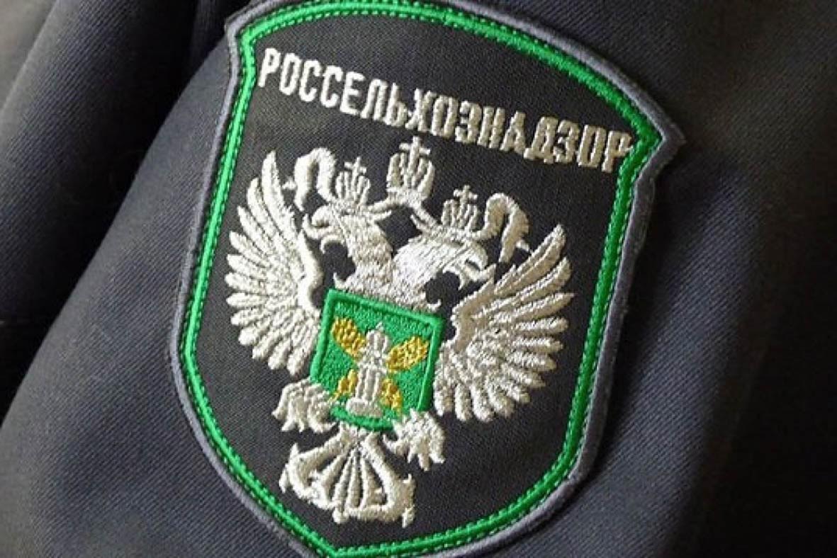 Более 100 кг просроченных продуктов без маркировки обнаружили в супермаркете Севастополя