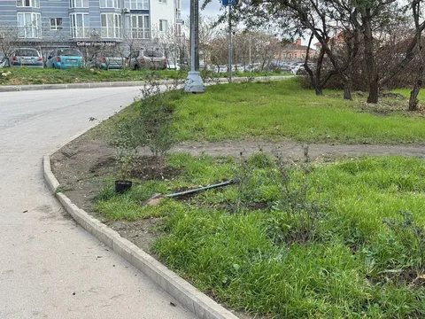 Фото галереи