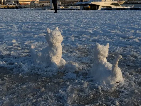Фото галереи
