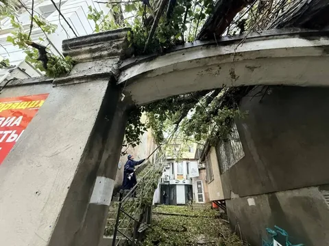 Фото галереи