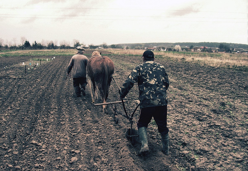 Сегодня — Родион Ледолом