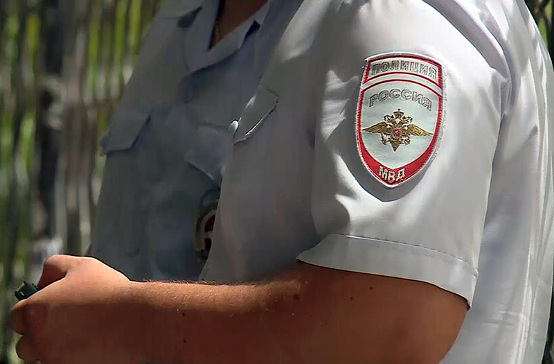 Севастопольские полицейские установили подростка, травмировавшего йорка