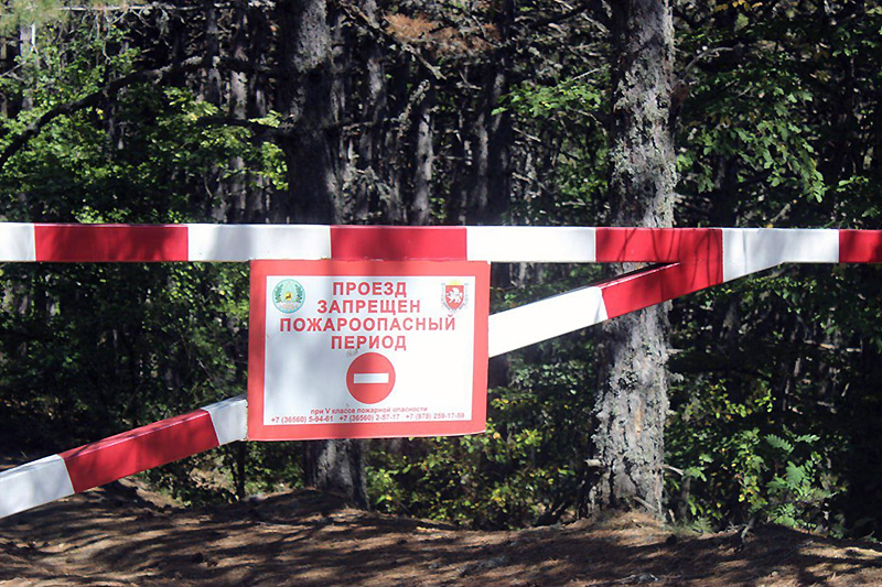 В Крыму за нарушение особого противопожарного режима возбуждено шесть уголовных дел