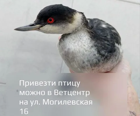 Фото галереи