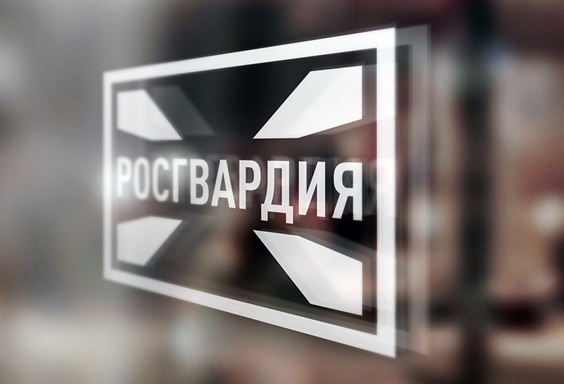 Росгвардия объявила об «амнистии» для владельцев оружия, если они сдадут его для нужд СВО