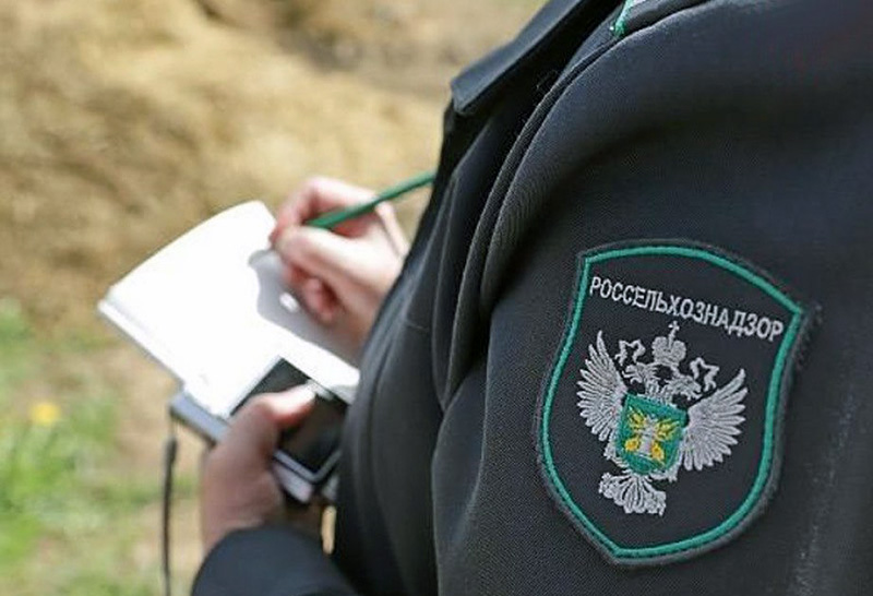 Россельхознадзор вынес 127 предупреждений ветеринарным врачам Крыма