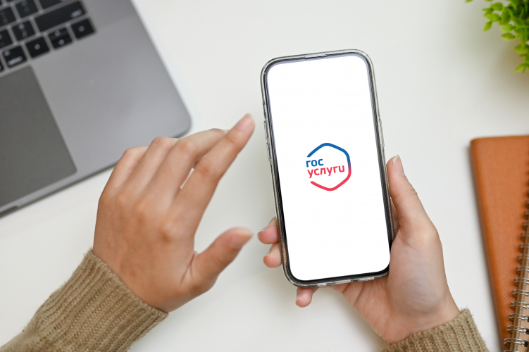 Самозапрет на кредиты в 2025 году установили более 63 тысяч севастопольцев
