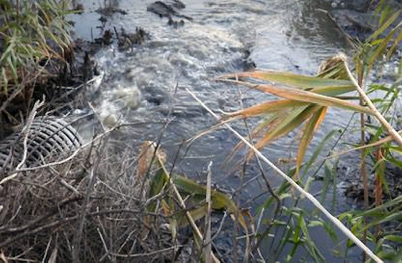 Росприроднадзор добивается от «Воды Крыма» возмещения ущерба озеру Сакскому
