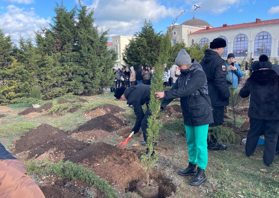 В севастопольском «Сквере Героев СВО» высажены новые молодые кипарисы (фото)