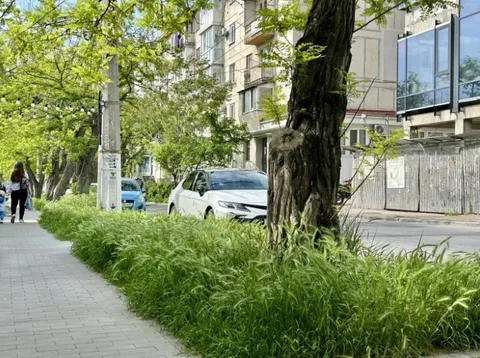 Фото галереи