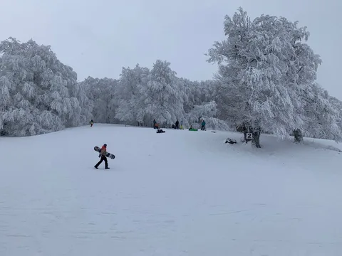 Фото галереи