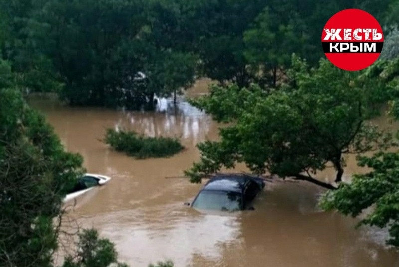 Фото галереи