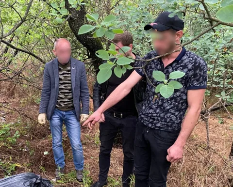 Фото галереи