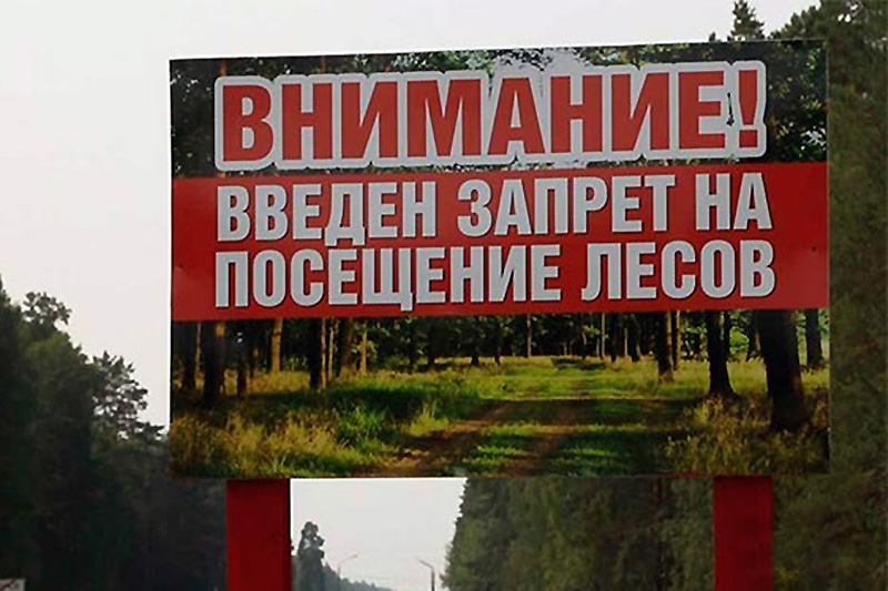 В Крыму на три недели ввели ограничение на посещение лесов