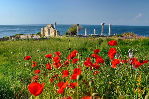 В Севастополе до +36° жары, в Крыму – до +40° (прогноз погоды на 18 июля)